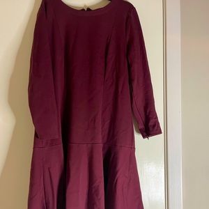 Size 10 P Ann Taylor Drop Waist Dress